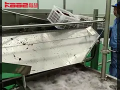 Проект под ключ Автоматическое производство клубники ягод клубника завод по переработке машин оборудование video