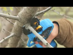 Беспроводные электрические бесшнуровые секаторы 40мм с 2 аккумуляторными батареями 21В video