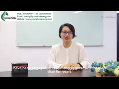 Установленные стеной решения солнечной энергии вольта 51.2V 9.5KWh жилой системы солнечной энергии низкие video