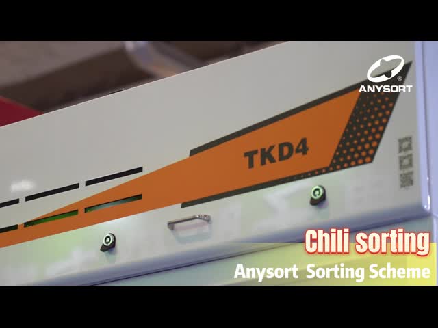 TKD4