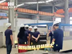 Gruppo internazionale dell‘elevatore di Fujisu