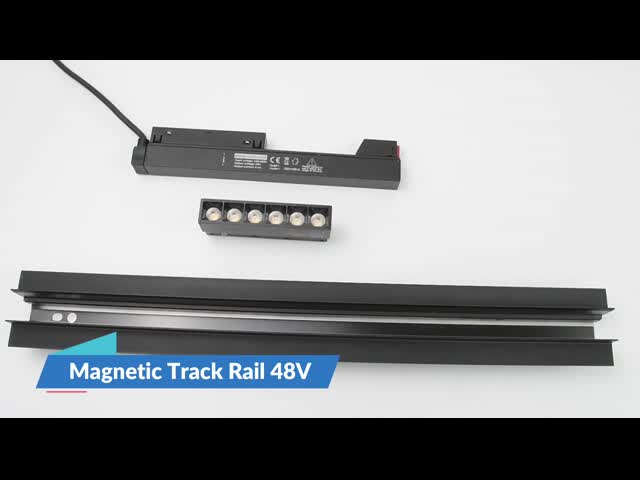 O preto do OEM encaixou a segurança magnética da baixa tensão da luz da trilha 48V
