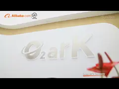 Company Introduction