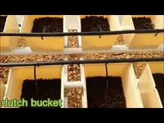 Гидропоническая система Нидерландский ветер Вертикальная система выращивания водорослей для овощей video