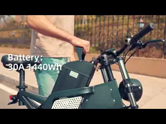 Fat Tire Electric Mountain Bike