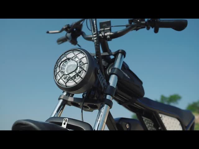 成人 20 インチ リッドスター 電動自転車 1000W 25MPH 7 スピード 電動自転車