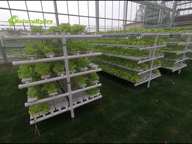 Hydroponic Nft Grow System