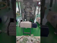 50-100 Bags/Min Automatic Weighing and Packing Machine 2.5KW