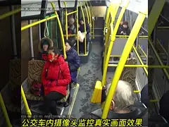 1080p 4 канал мобильный DVR HDD 4g Mdvr GPS Wifi Автобус Такси Грузовик Школьный автобус Mdvr video