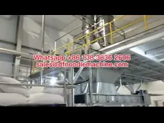 Полностью автоматическая зажаренная производственная линия лапши быстрого приготовления для завода по обработке еды video