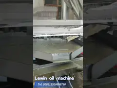 Подгонянная машина прессы арахиса машины прессы масла винта с силой 18.5кв video