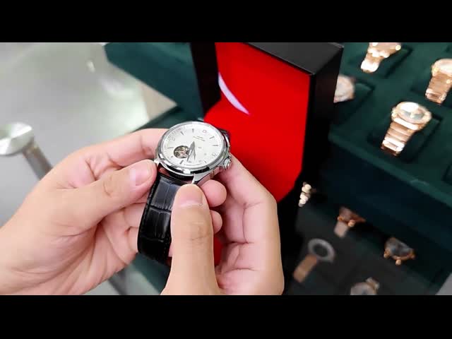 Шкала ручного хронографа дозора движения водоустойчивого механического черно-белая видео