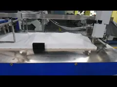 Automatic Outsert Pharmaceutical Leaflet Folding Machine With Paper Ejection