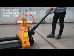 Голубой ручной поддонов 2500 кг, ручной поддонов с принтером video