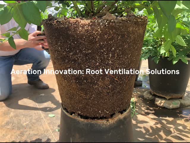 Plastic Plant Pots for Berries Grow