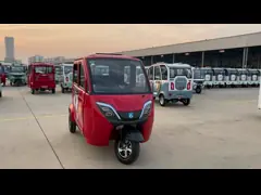 800W Passenger Electric Tricycle Adults Passenger 3 Wheel Electric Tricycle