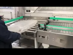 Автоматический сертификат системы ISO 3A Improver выкостности растворяя video