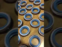 ISO Гидравлические цилиндровые уплотнительные комплекты 125/80 542251 Гидравлические бумные цилиндровые уплотнительные комплекты video