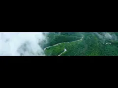 Cologne company development