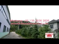 OEM ODM Dry Noodle Production Line Extruded Multigrain Stick Noodles Making Machine