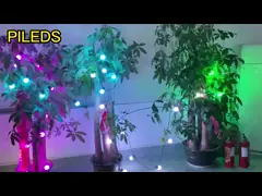 Сферная светодиодная лампа, светлые молочные рождественские веревочные огни на улице. video