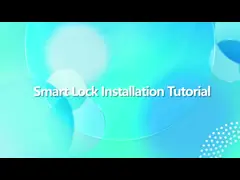 Квартира Светлый Золотой TTLock Цифровой Дверной Замок Биометрический Интеллектуальный Умный Дверной Замок video