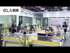 China Frame Frameless Sliding Door Smart Lock / Glass Door Mortise Lock supplier