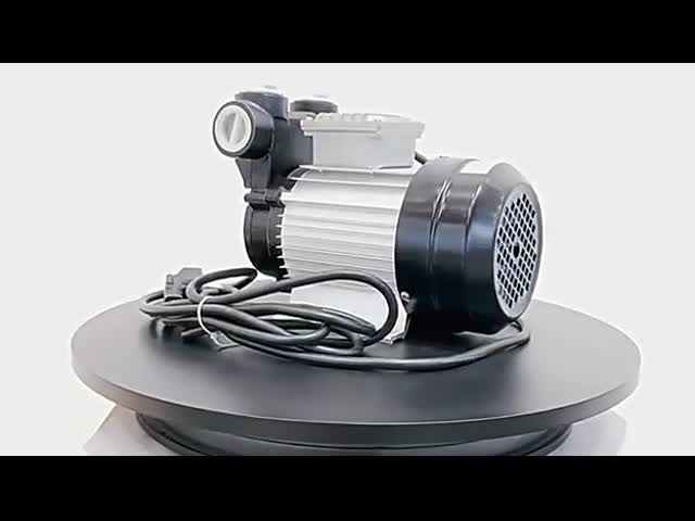 Электрический 550w дизельный распределитель топлива керосина насоса 220v