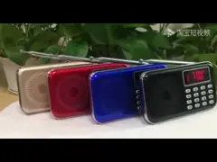 Подгонянное всеобщей радио эксплуатируемое батареей с Bluetooth Handheld video