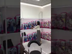 Sturdy Practical Childrens Suit Case , Shockproof Youth Rolling Luggage