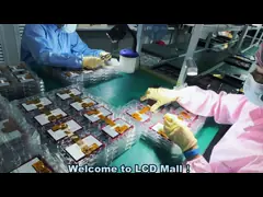 QC Video 2