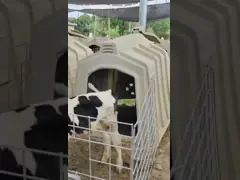 Фермерское использование Молочное телячье крыльцо Пластиковое телячье крыльцо Настройка толщина 8 мм video