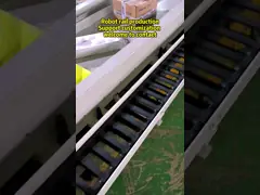 Медицинские работники механизма проводника винта оси сверхмощной классики ведущего бруса Cnc линейной XY video