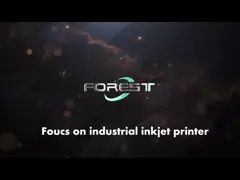 China 300mm Digital Inkjet Printer supplier