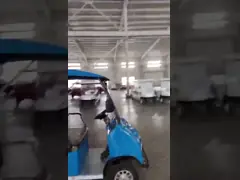 China Street Legal Electric 8 Passenger Golf Cart Driving Range 90KM 100km supplier