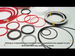 KL10 Однодействующий стержень уплотнения низкое трение для ветровых турбин / сервоцилиндров video