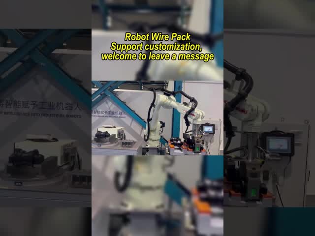 6 軸 工業自動化用ヤスカワロボット腕 180kg 積載
