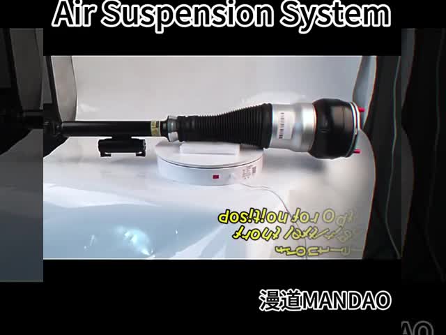 OEM 2203202138 Kits de Suspensão Aérea de Carro Absorvedor de Choque Frente Esquerdo Para Mercedes-Benz W220 4MATIC