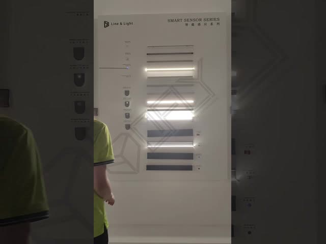 Master Control Recessed LED Light Human Body Sensor With Dimming Function