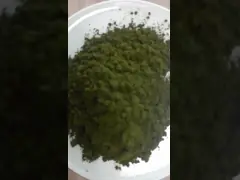 bubuk hijau