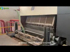 Полностью автоматическая машина для формования яичных подносов с использованием переработанной бумаги video