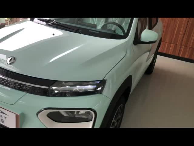 2022 Dongfeng Ex1 Nano Box premium version331km Hatchback 5 door 4 seat SUV Pure Electric