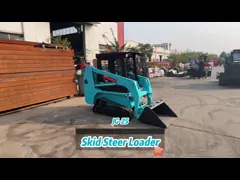 carregador do boi do patim