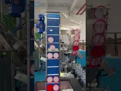 Автоматическая машина завалки зерна веся машину винта заполняя машины покрывая video