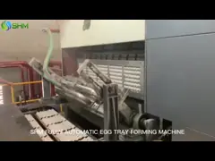 Прочный полностью автоматический яичный поднос для яиц video