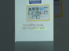 Multicolor Tactile Membrane PC Switches In Customized Size & Colors