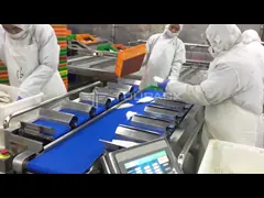Food Fruit Squid Tube Vegetable Combination Weigher With Belt Conveyor 12/14 Head Manual Belt Weigher