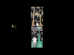 Промышленные тандемные гидравлические насосы с конструкцией конструкции пластинки video