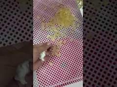 softgel capsules dying trays