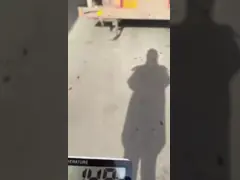 Bronopol- Weifang Zhaoyu